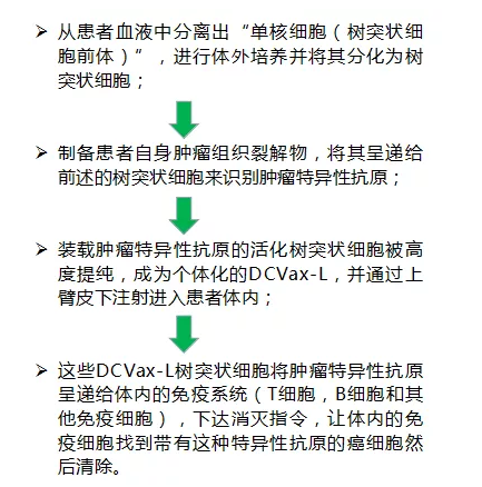 树突细胞免疫