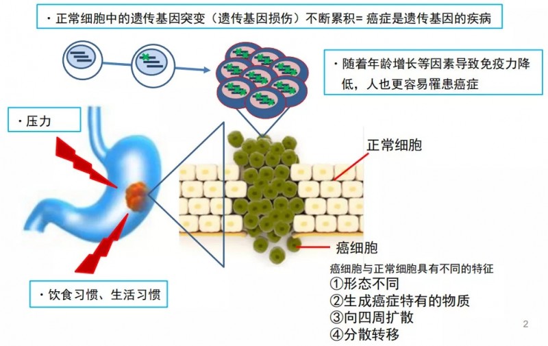 癌症治疗,融合细胞疫苗,树突状细胞疫苗,融合细胞疗法治疗,融合细胞免疫治疗