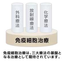 免疫细胞治疗