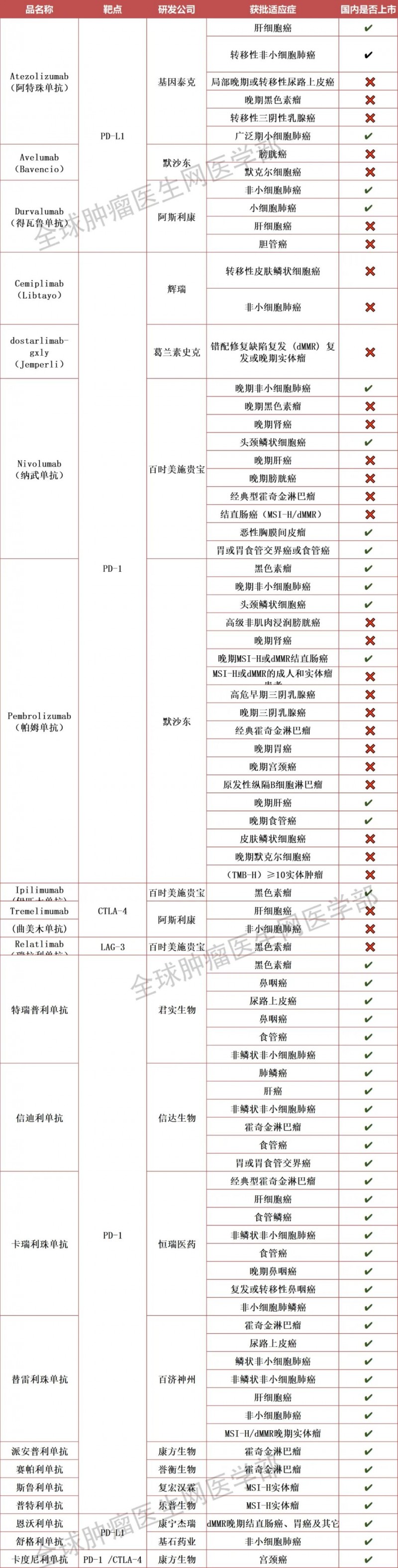免疫检查点抑制剂