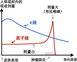 质子治疗剂量优势